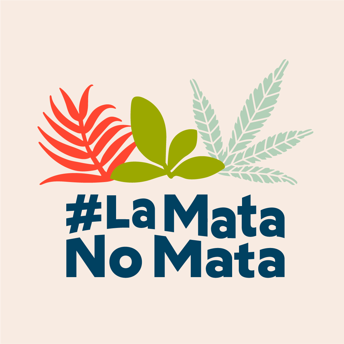 No nos rendimos. Seguiremos luchando por una regulación del #CannabisDeUsoAdulto que respete los derechos humanos y la salud pública. Gracias a todos los que apoyaron este proyecto hasta el final. #LaMataNoMata