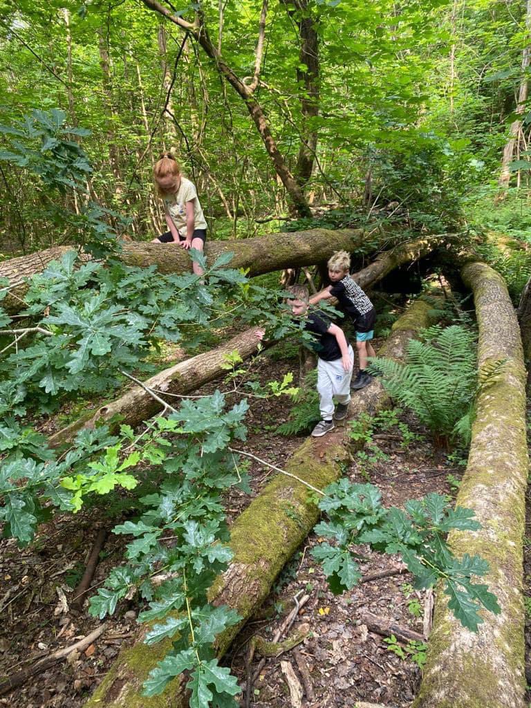 clairej712's tweet photo. Lewis, Harris and Charlotte have been enjoying exploring the forest every Sunday with the best leaders. @misslmuirhead @MissLSStewart https://t.co/lga7SIJLA8
