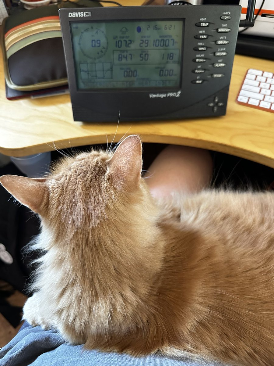 It’s hot here in Texas! And the last thing I need is a warm cat on my lap. She gets away with it because she is cute. #txwx