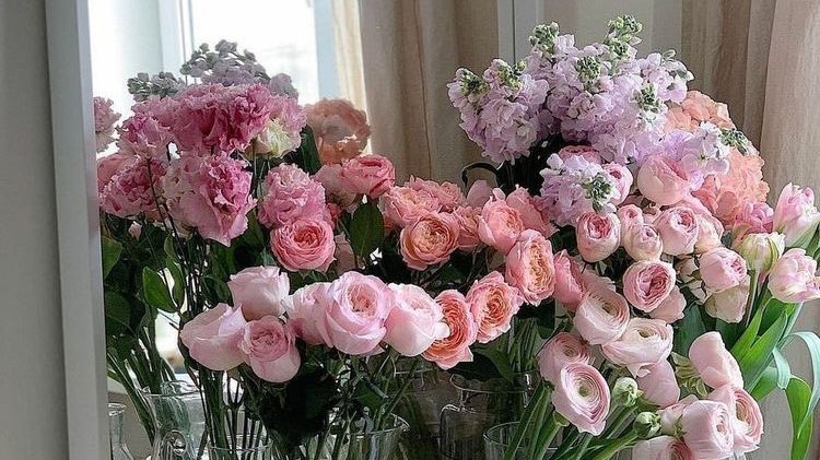 chanelkake's tweet photo. flowers, flowers &amp; more flowers ♡ https://t.co/UKwcSRRcu9