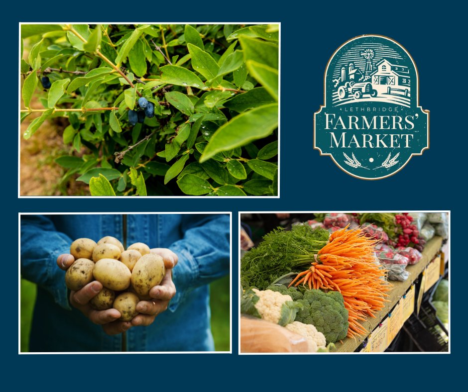 You can enjoy a bunch of products from some of the farms and producers located in Canada's Premier Food Corridor each Saturday at the @YQLagrifoodhub #farmersmarket. Stop by from 8-1 and fill your fridge with some of Southern Alberta's best fruit, veggies and much, much more.