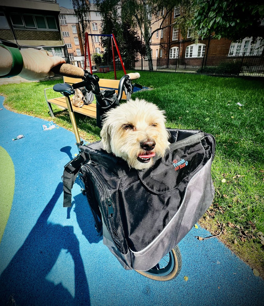 @BromptonBicycle @BromptonJnLDN @Will_Brompton 
No standard Brompton bag for doggies, so I had to make my own!
(With help from Dr Bike)
🚲🐶