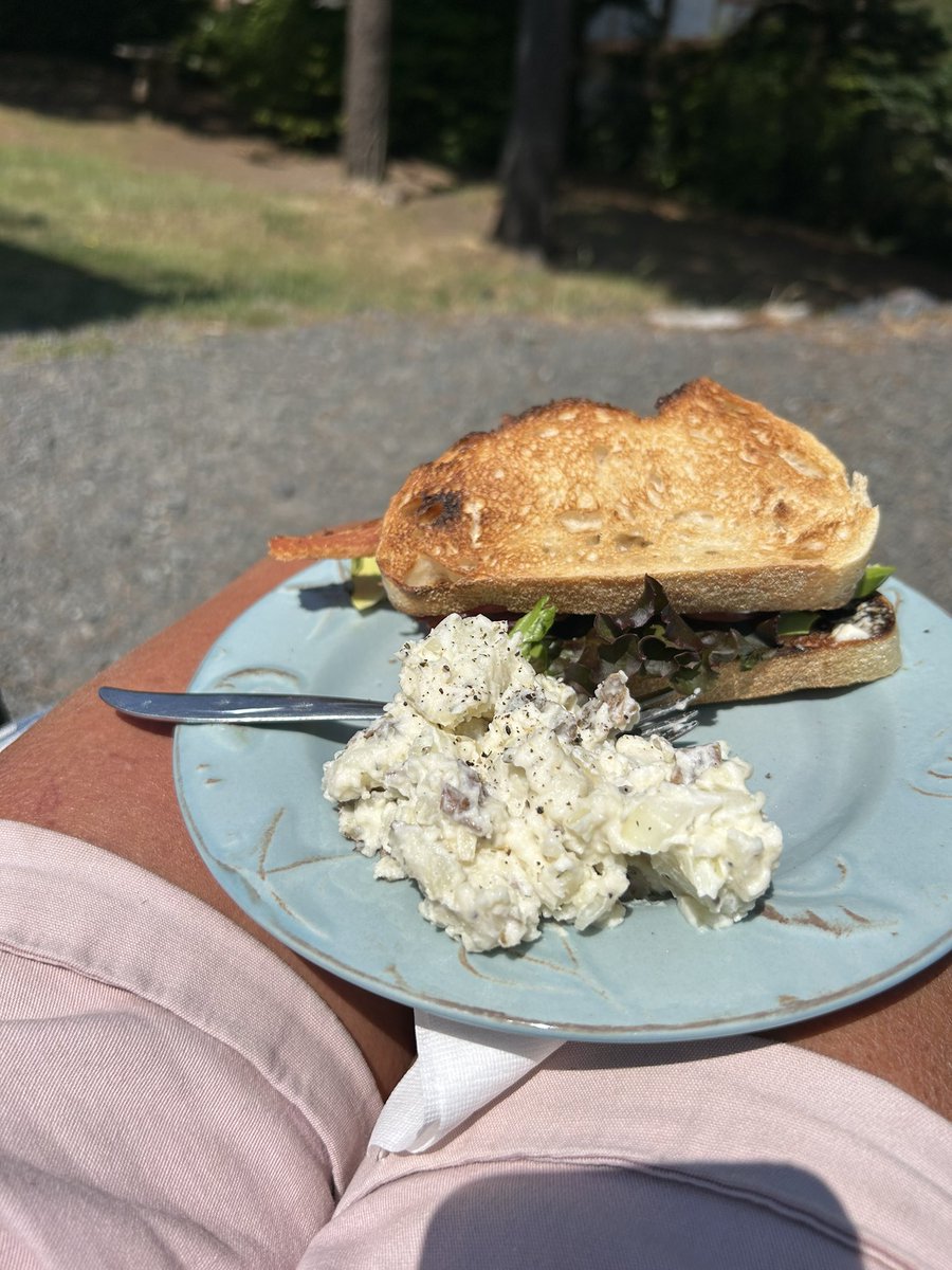 Gifted a huge head of red leaf lettuce today. Time for a nice BLAT with summer beefsteak, ice tea and potato salad.
#SummerSolstice2023