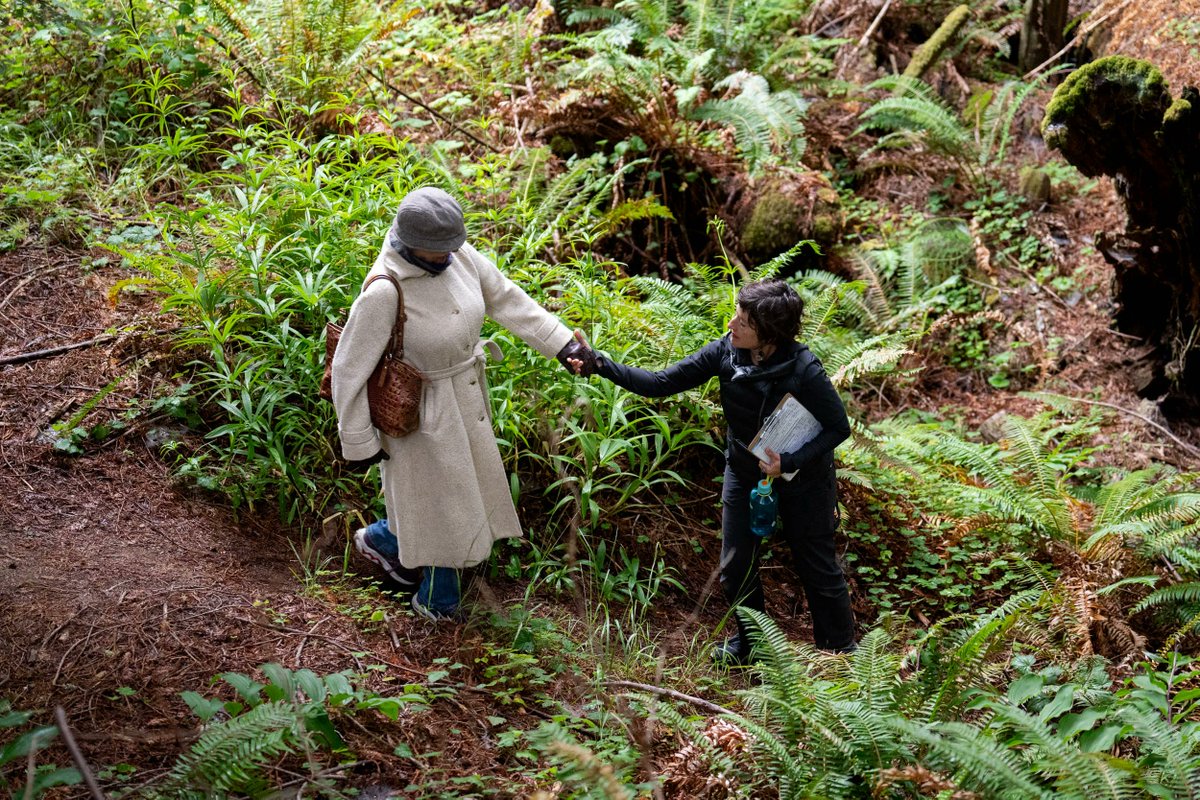 MovingGround_'s tweet photo. Join us this weekend for the NETWORK project: Dialogue on Building Resilience in our Nature Bodies! This SUNDAY, JUNE 25TH 2-5PM PST  online and at the Dance Palace we will move together in an embodied discussion around sustainability topics. 
https://t.co/PeI3tGSgyY https://t.co/9D1QCUiseO