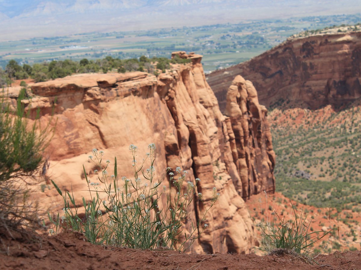 GJCity's tweet photo. Happy first day of summer from the City of Grand Junction!🌞🌆
#GJCity #SummerVibes https://t.co/AxsZz5d7vC