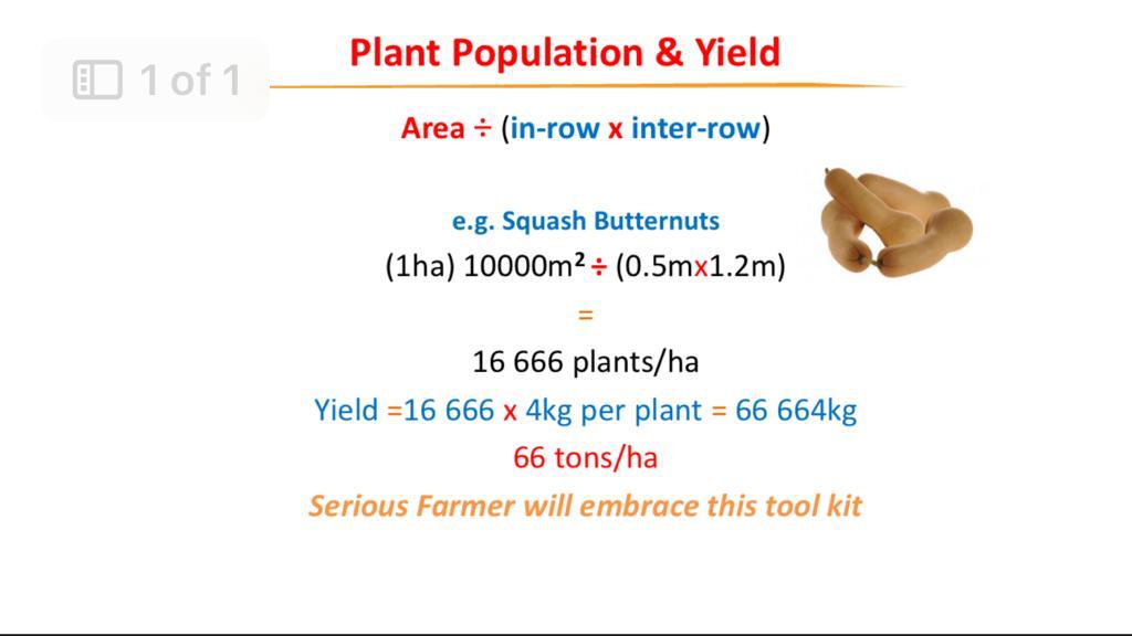 Masimba Kanyepi tweet media