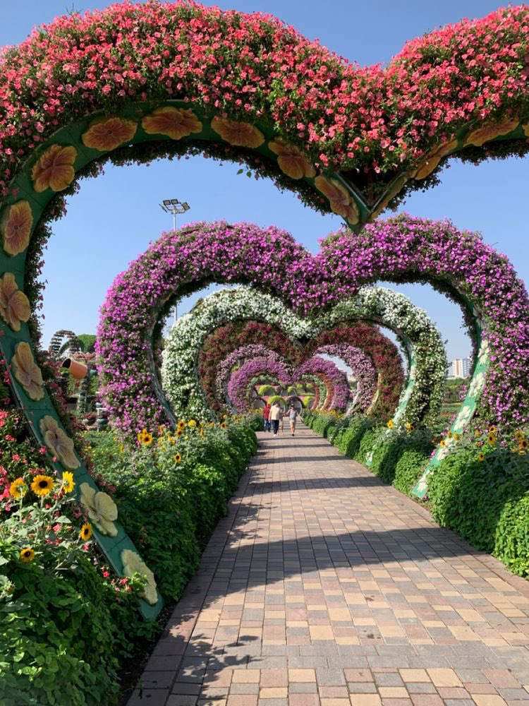 Miracle flower garden
