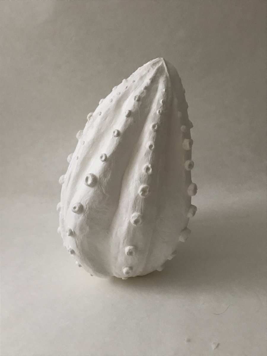 「octopus」29×17×17cm
material Japanese paper