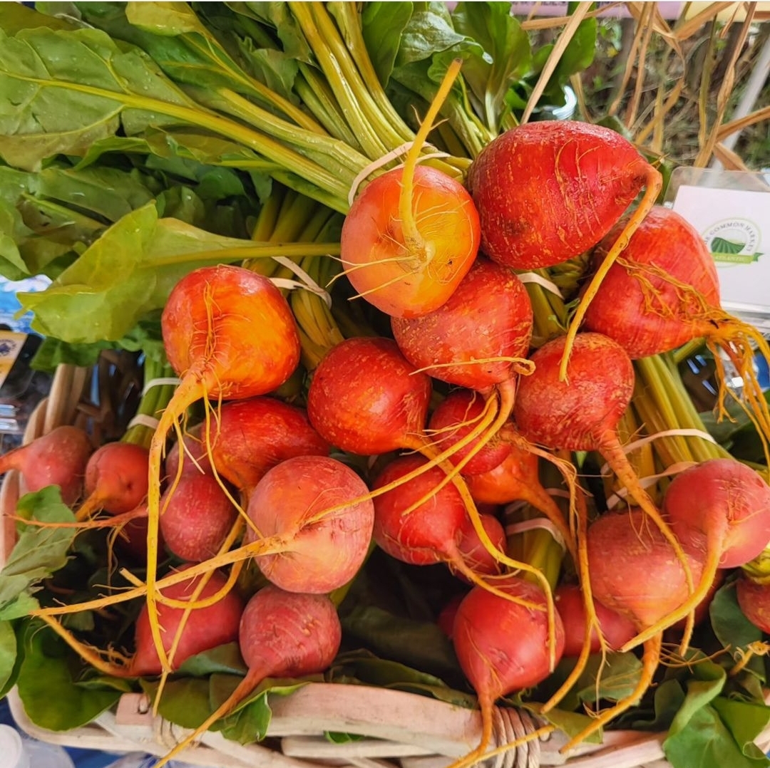 Neighborhood Gardens Trust tweet media