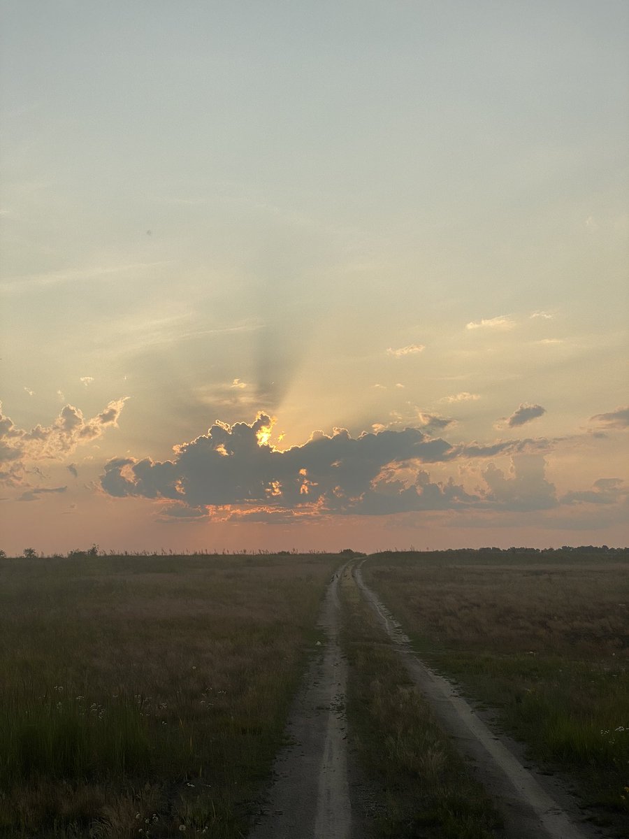 wolfann2014's tweet photo. Пам’ятай завжди є світлий промінь .. https://t.co/WecAfRWPa0