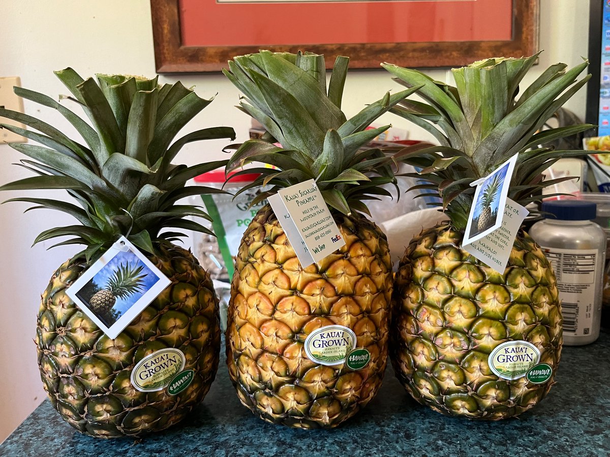 Pineapples from Kauai.