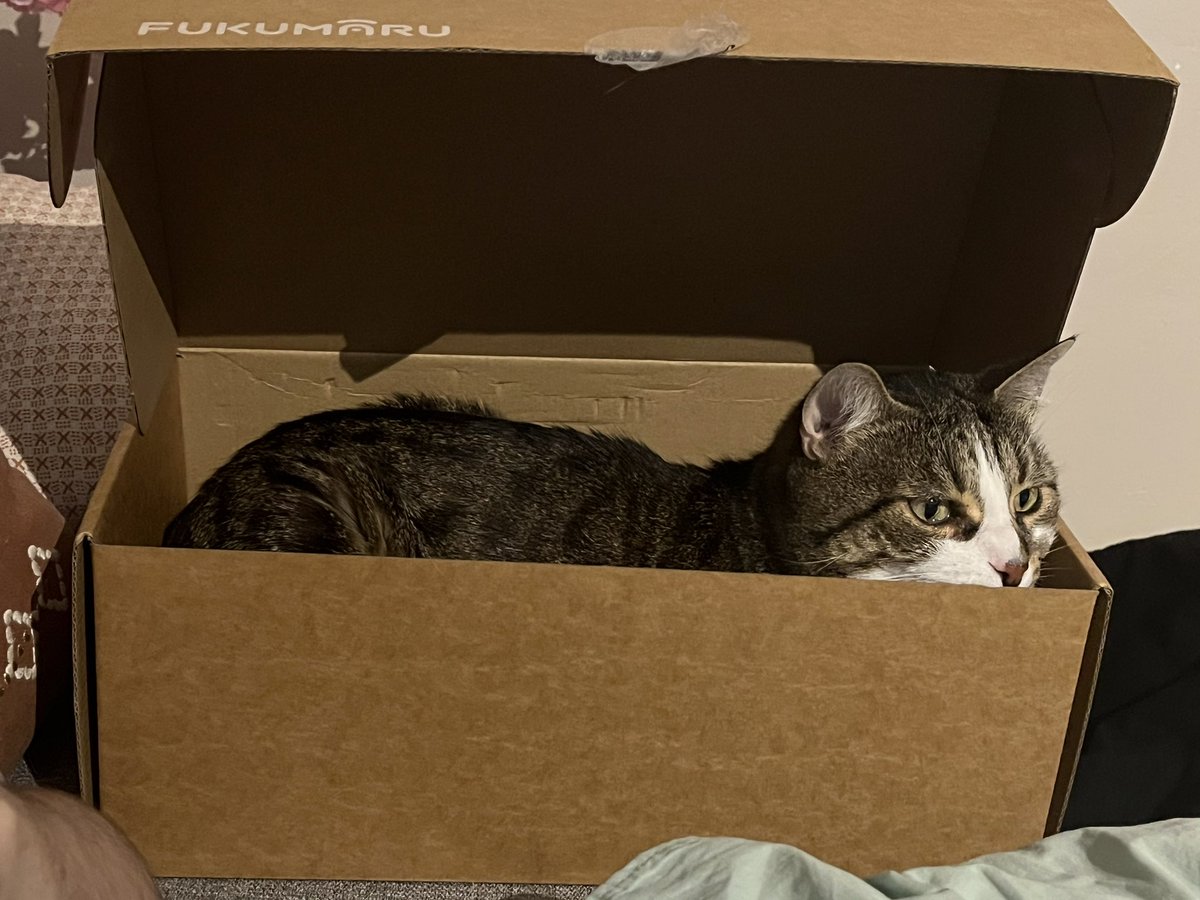 Shamirae tweet media