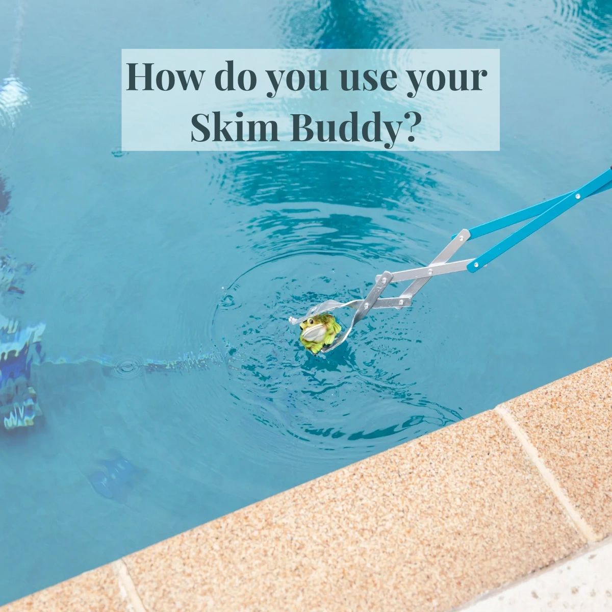 SwimPoolThings's tweet image. Did you know that Skim Buddy isn&apos;t just for cleaning out skimmer baskets? It&apos;s also great for handling chlorinating tablets and small animals without having to touch them. 🙌 What other creative ways do you use Skim Buddy in your pool maintenance routine? #poolcleaninghack