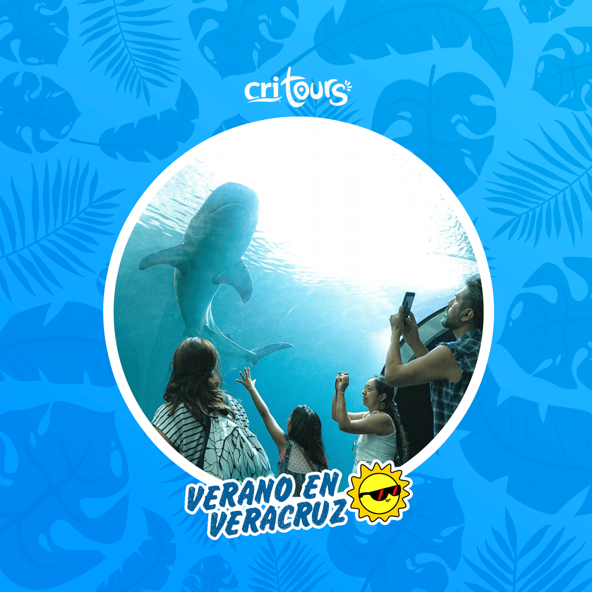 cri_tours's tweet photo. ¡Oficialmente, inició el #VERANO! ☀️😎
Y en #Veracruz tenemos todo para disfrutarlo a lo grande 🤙 #solsticiodeverano #CRITours #TuGuíaEnVeracruz https://t.co/KUnFF92RL8