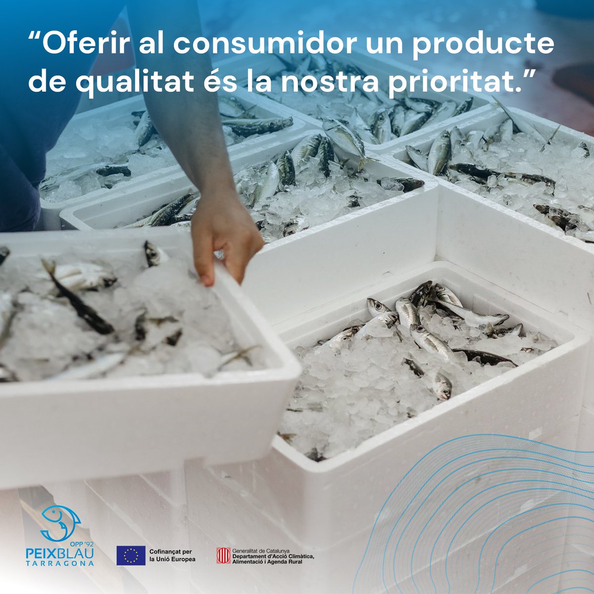 OPP Peix Blau Tarragona (@peixblautgn) on Twitter photo 🐟 Des de l’OPP treballem per seguir portant als consumidors de peix blau la millor qualitat possible.
📣 És la prioritat número 1, garantir un correcte manteniment del peix en tota la cadena de pas perquè els consumidors finals puguin gaudir de la màxima qualitat.
#opp 🐟 Des de l’OPP treballem per seguir portant als consumidors de peix blau la millor qualitat possible.
📣 És la prioritat número 1, garantir un correcte manteniment del peix en tota la cadena de pas perquè els consumidors finals puguin gaudir de la màxima qualitat.
#opp