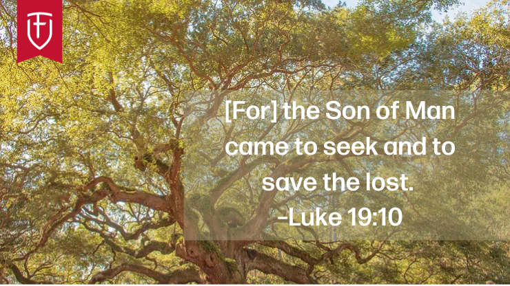 FighterVerses's tweet photo. Zacchaeus is known for his tree-climbing creativity in pursuit of Jesus. But who is the real seeker in this account? John Kimbell takes a deeper look at a well-known story in this week's #FighterVerses devotional. https://t.co/Cu3SqMDnc1 https://t.co/uoLejn1Wzm
