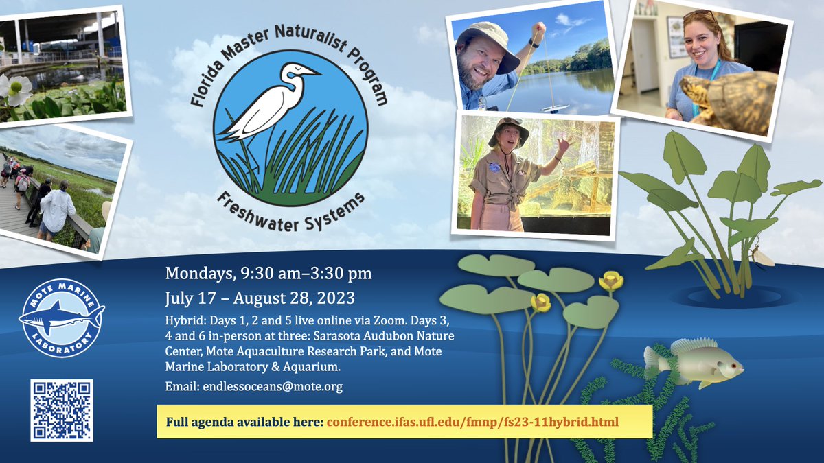 Lifelong Learning at Mote – #FMNP Freshwater Systems Module
Mondays, 9:30 am–3:30 pm, July 17 – August 28, 2023
Registration closes at Noon on July 13, 2023
conference.ifas.ufl.edu/fmnp/fs23-11hy…