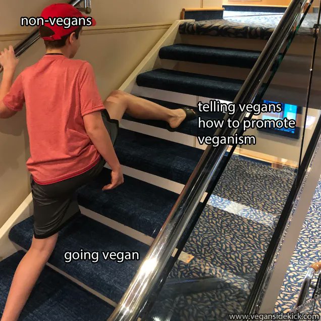 Vegan Sidekick (@vegansidekick) on Twitter photo 