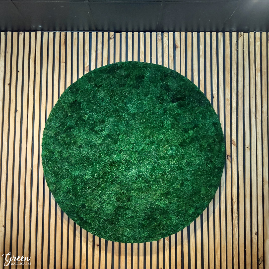 We hope this preserved mood moss piece helps provide peace and tranquility on International Yoga Day. 
.
.
.
#greenwallscapes #mosscompany #mossart #mosswalls #moss #preservedmoss #biophilicdesign #plantart #plantwall #livingwall #customart #homedecor #officedecor #hgtv