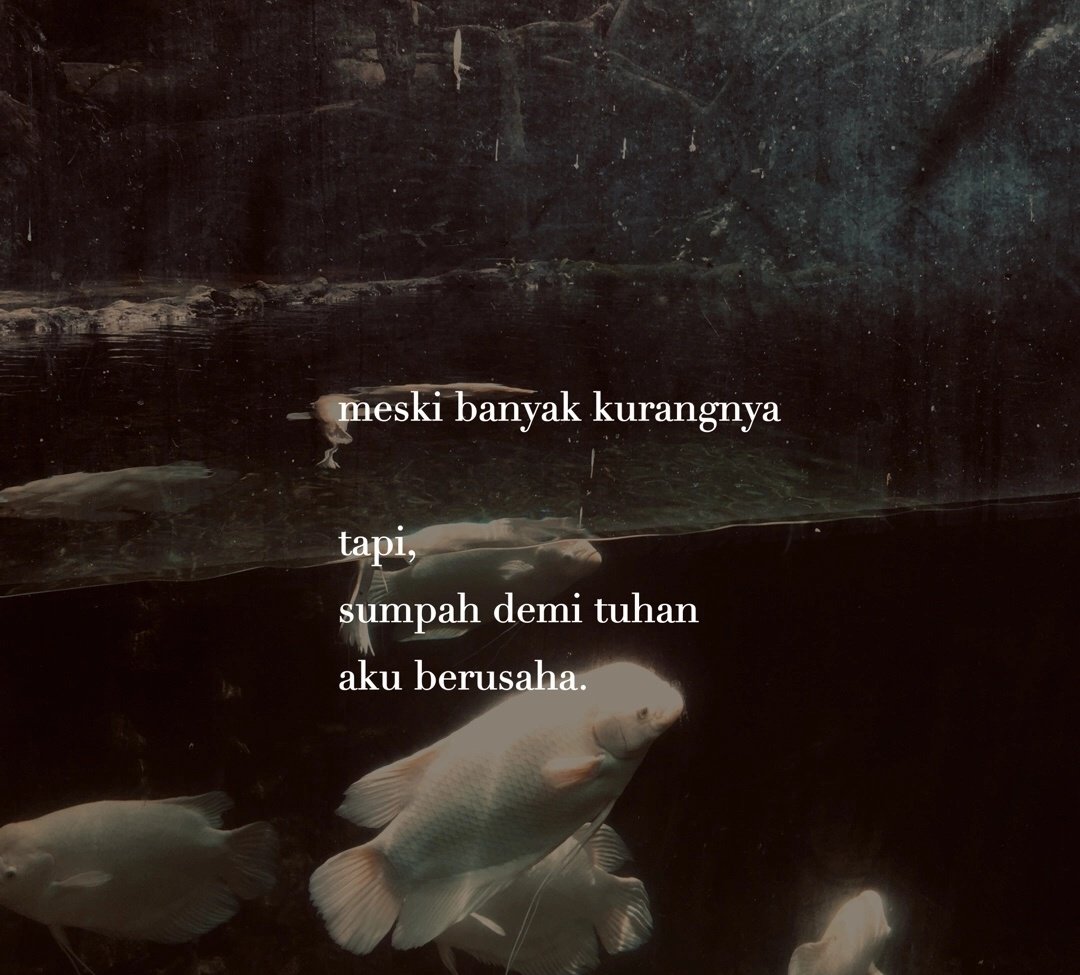 hafhaff_'s tweet photo. Rayuan Perempuan Gila -Nadin https://t.co/QI9rG7fxXd