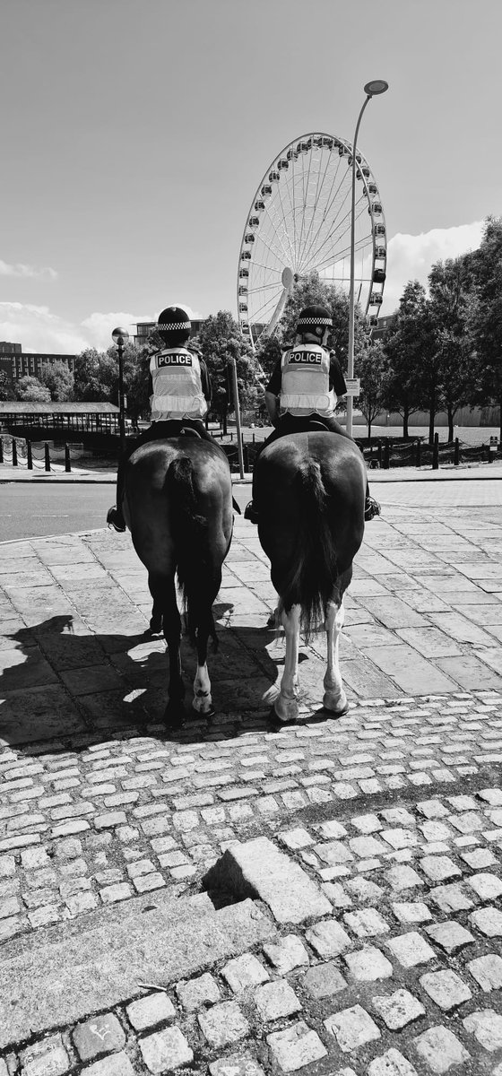 MerPolMounted's tweet photo. Beau and Jake said hello to colleagues from our Firearms Team today as they patrolled the city centre and Royal Albert Dock!
#StandTall #PHJake #PHBeau #OneTeam #PoliceColleagues https://t.co/OhLLgob8yM