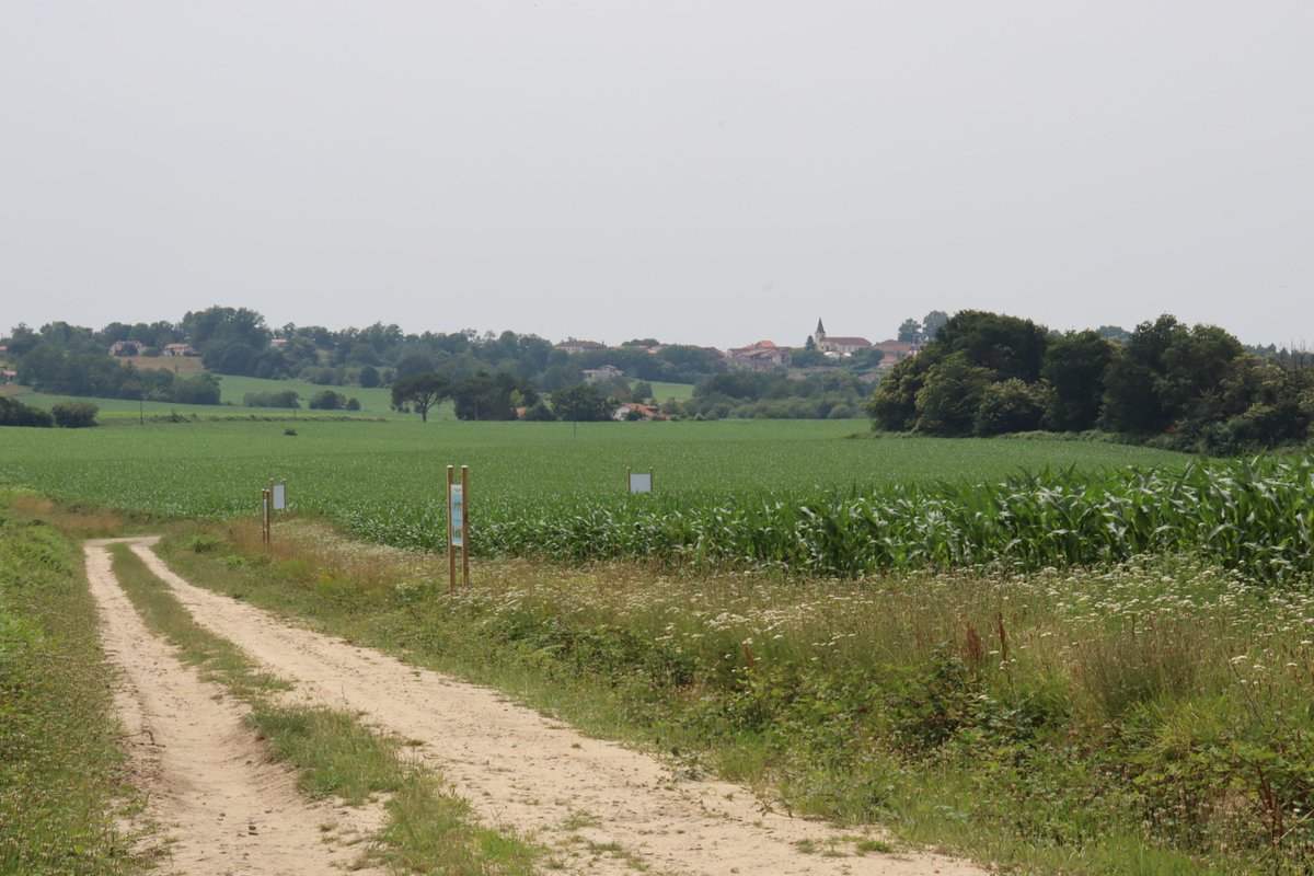 Maisadour's tweet photo. 🔎 Envie de découvrir la #faune et la #flore de notre région ?

🤩 Promenez-vous sur notre tout nouveau parcours pédagogique, situé à #Doazit sur un chemin pédestre accessible à tous

👉 Pour vous y rendre : Chemin de Mora, 40700 Doazit (point GPS : https://t.co/gD2uSd5IKg) https://t.co/bHem845vcT