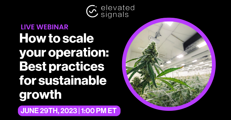 ElevatedSignals's tweet photo. Do you want to learn how to take your cannabis operation to the next level?

Join our webinar on Thursday, June 29th, at 1:00 PM ET. Our panellists will share valuable insights and strategies on sustainable scaling to help prepare you for the growth of your business.