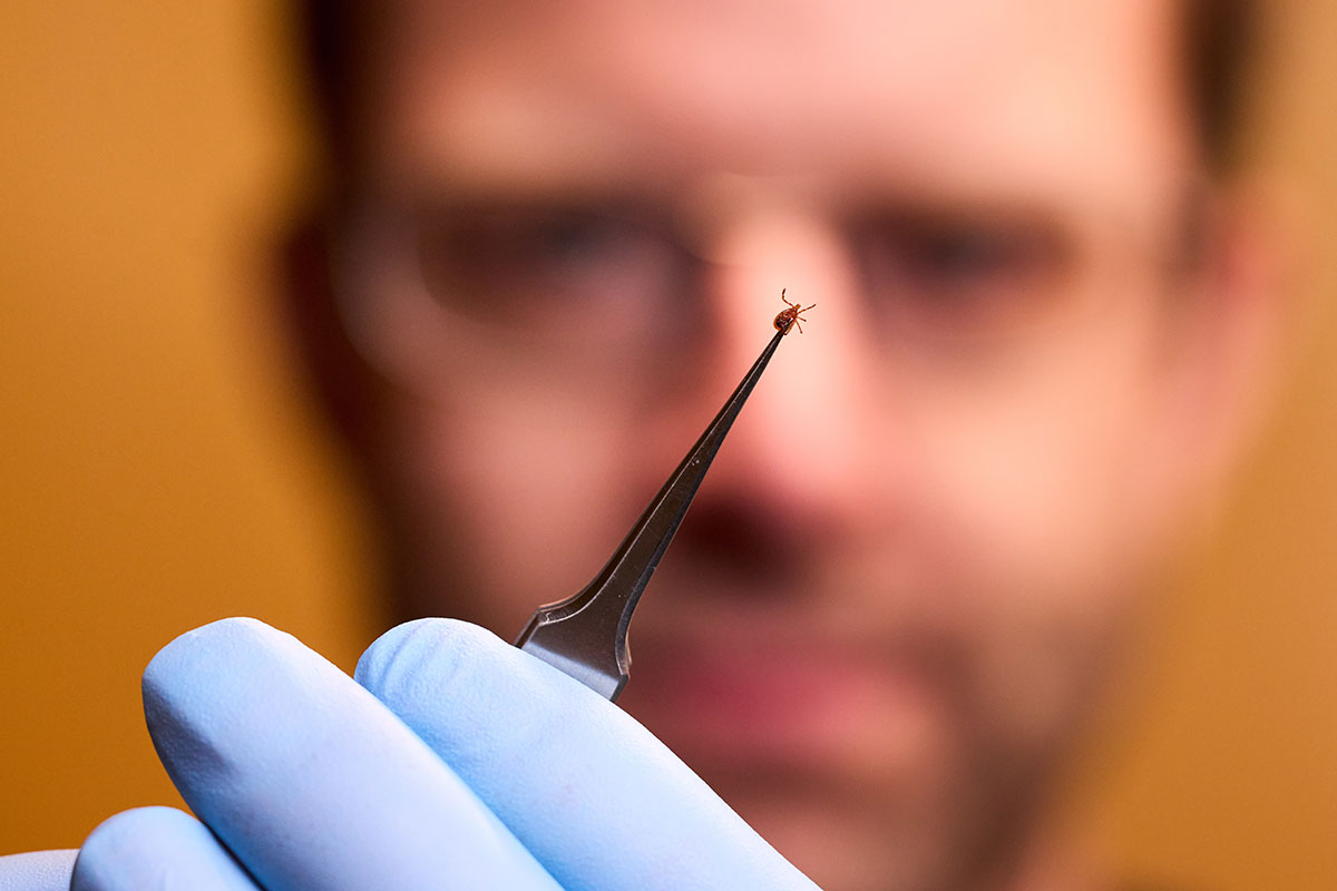 WashU DBBS (@washudbbs) on Twitter photo Check it out: @WUSTLDBBS's own Dr. Jacco Boon is part of a One Health team with the <a href="/stlzoo/">Saint Louis Zoo</a> investigating how the tick-borne Bourbon virus spreads through wildlife and people.
Read more here: ow.ly/umRI50OTU1f
Stay safe during tick season!
#virology #environment #science Check it out: @WUSTLDBBS's own Dr. Jacco Boon is part of a One Health team with the <a href="/stlzoo/">Saint Louis Zoo</a> investigating how the tick-borne Bourbon virus spreads through wildlife and people.
Read more here: ow.ly/umRI50OTU1f
Stay safe during tick season!
#virology #environment #science