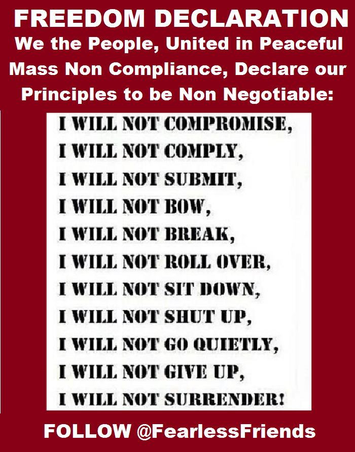 FearlessFriends's tweet photo. #FreedomDeclaration For Humanity.👇 https://t.co/G33PJMbw8f