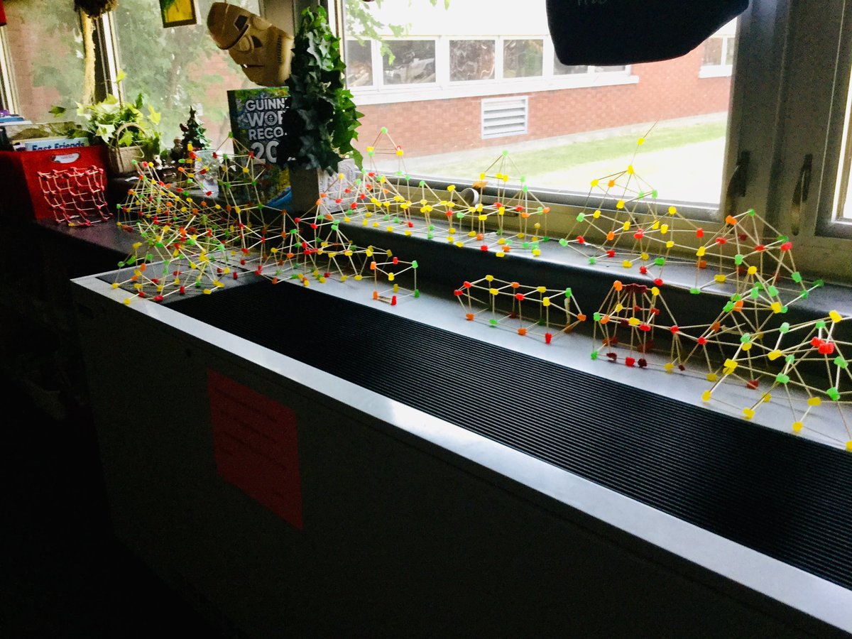 Zorica Sotra tweet media