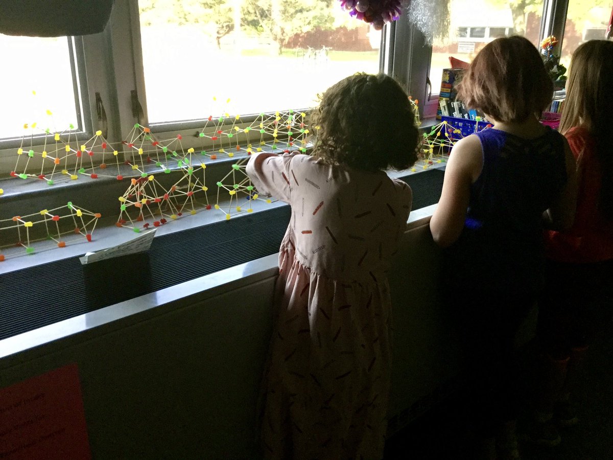 Zorica Sotra tweet media