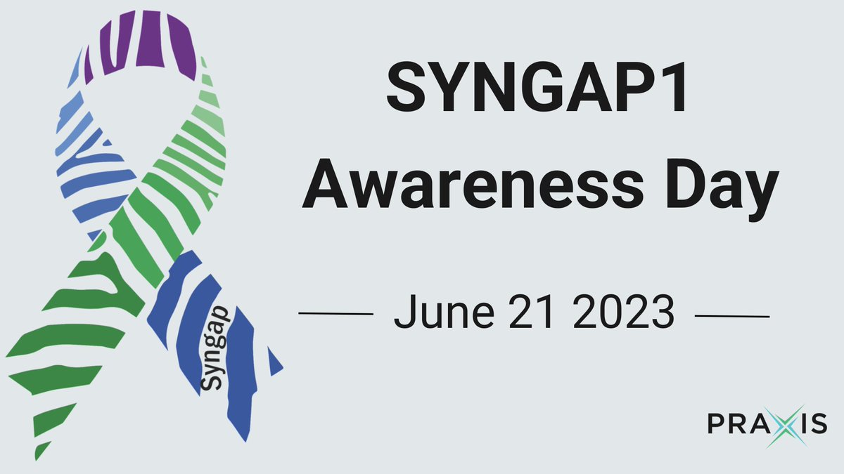 PraxisMedicines's tweet image. We’re supporting #Syngap1AwarenessDay and raising awareness for those living with #SYNGAP1 epilepsy. Learn more about SYNGAP1, access resources, and support tools by connecting with advocacy organizations like @cureSYNGAP1, @Syngap1Fnd, @SyngapNetwork and more.