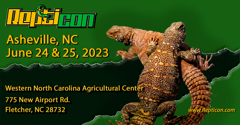 Repticon Asheville is this weekend!

Buy tickets here: repticon.com/tickets/