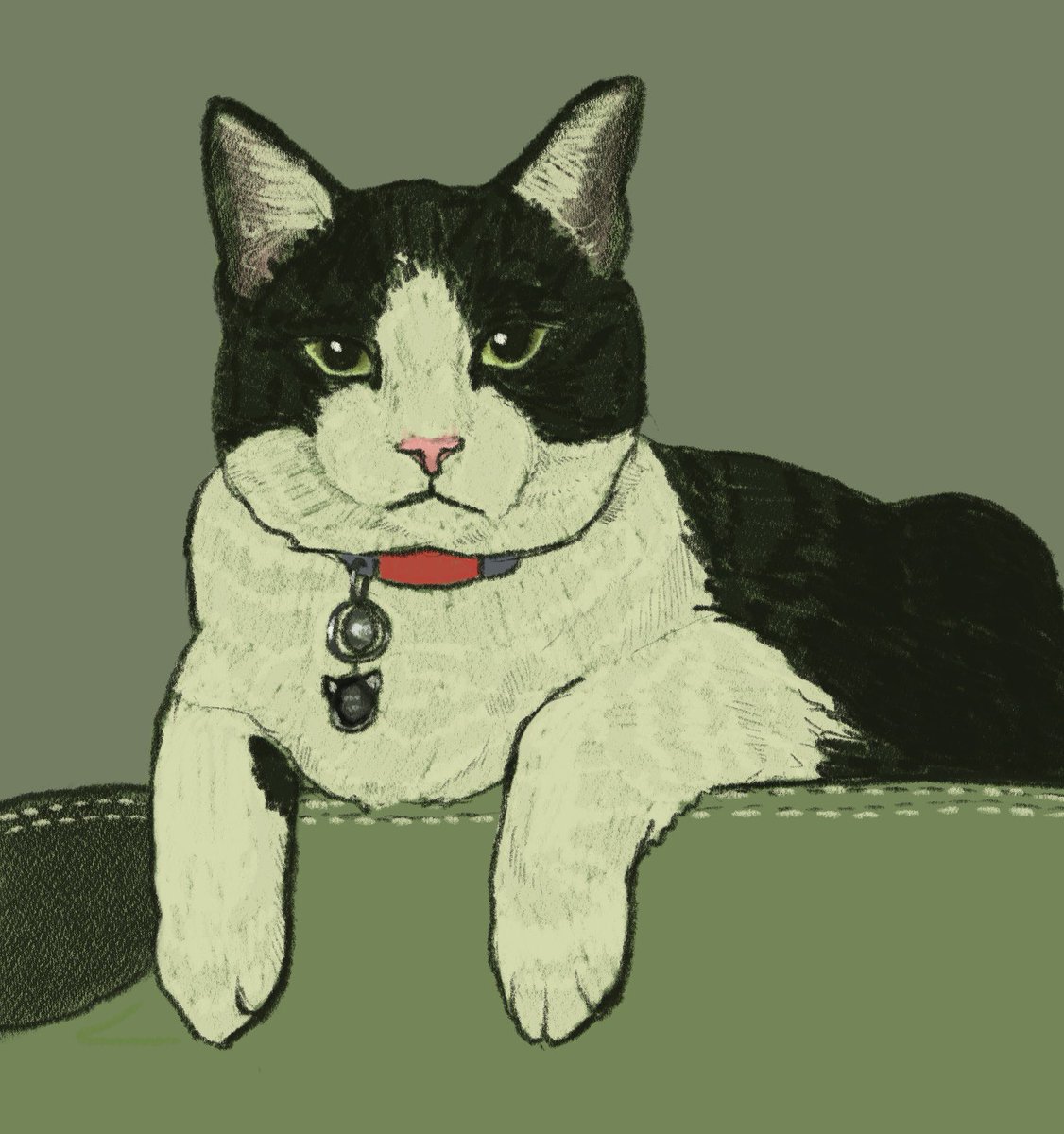 willdrawyourcat's tweet photo. Mochi 🍡

#cat #drawing #art #digitalart https://t.co/7ofqcTwoa1