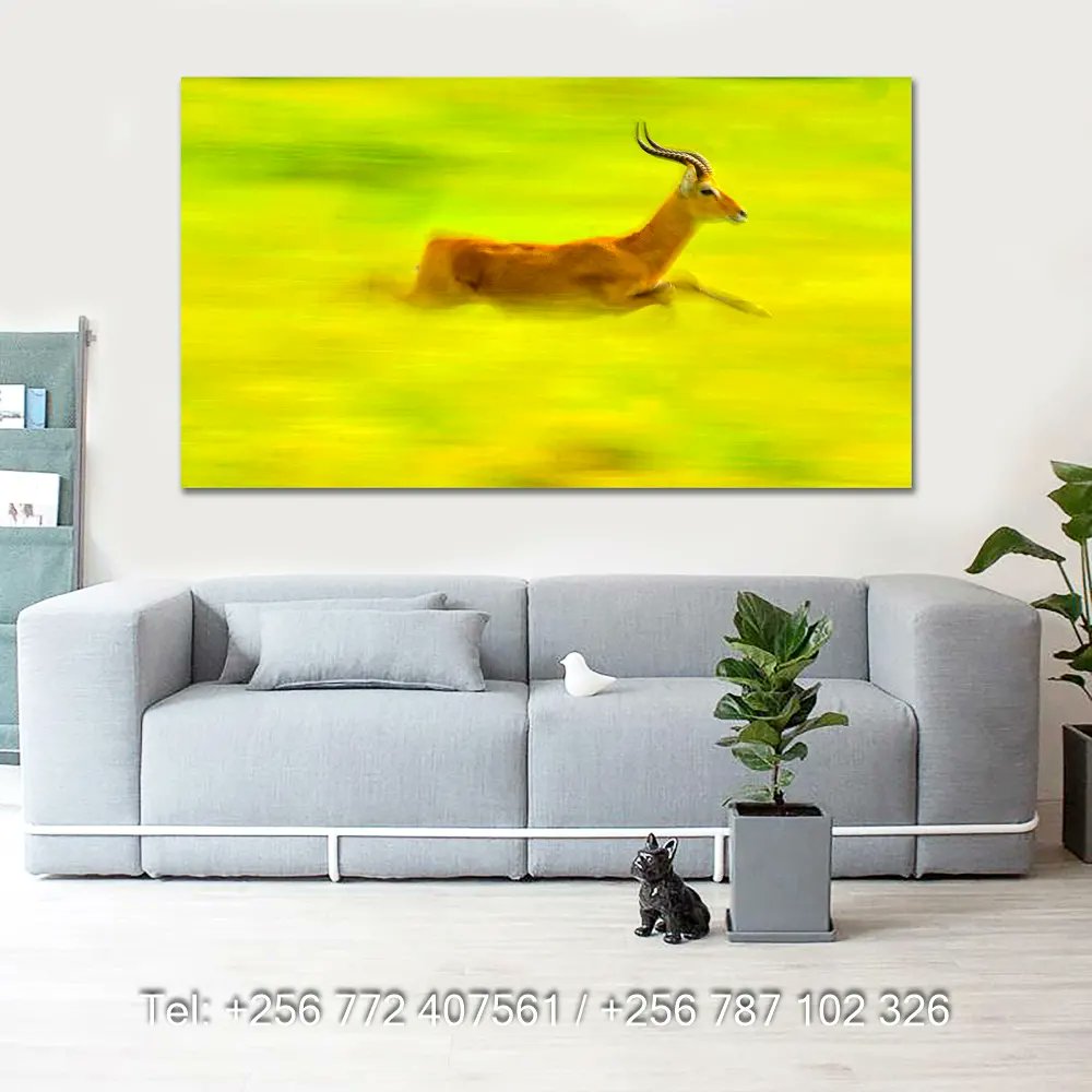 matthiasmugisha's tweet photo. Here is Snap Uganda Wall Decor samples.100%  Ugandan and suitable for homes, hotels and offices. 
 
+256772407561/+256787102326
info@snapuganda.co.ug
Snap Uganda,  Kisozi Complex Nakasero Kampala. https://t.co/rNj74v6SjE