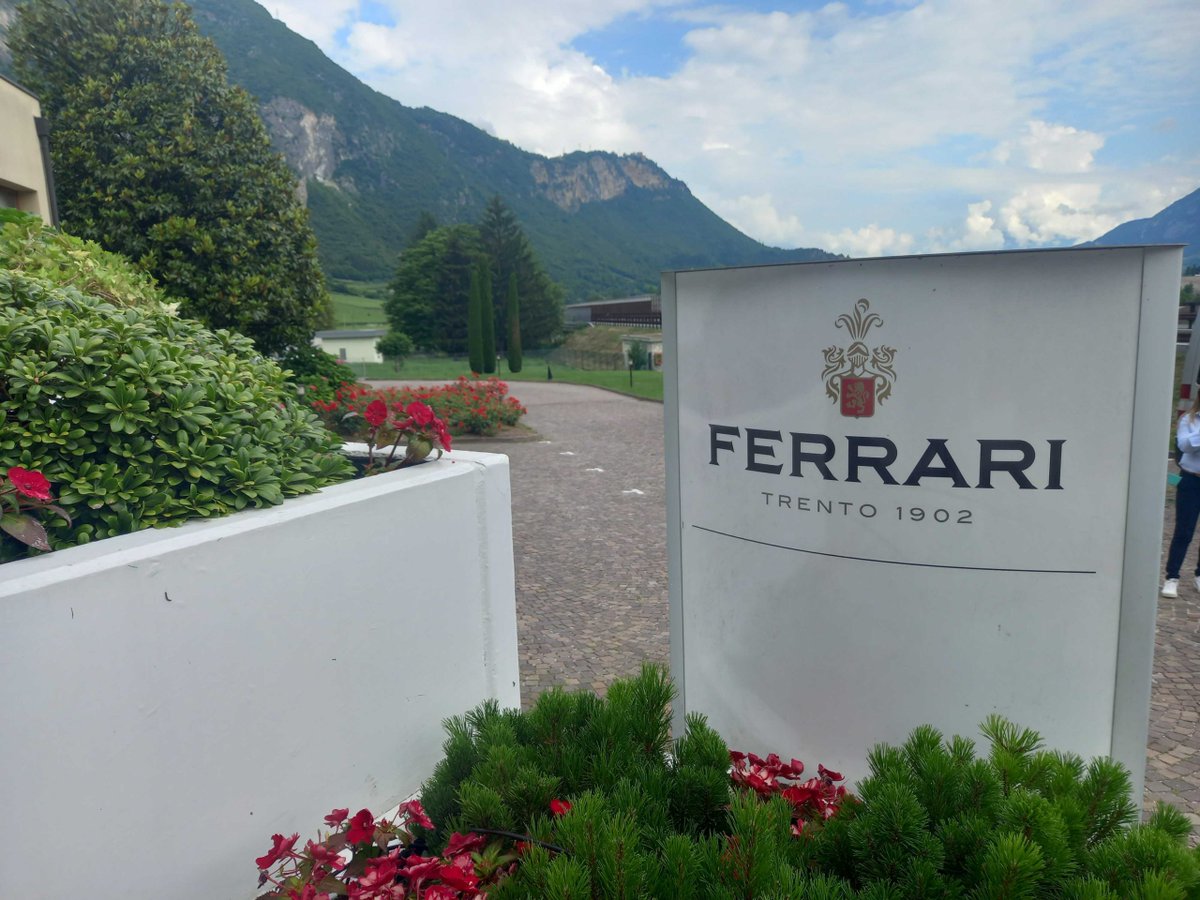 Just Drinks (@just_drinks) on Twitter photo “Formula One is an incredible opportunity to present our wines, since there are 500m fans. It is growing dramatically in the US” –
<a href="/FerrariTrento/">Ferrari Trento</a> CEO Matteo Lunelli
Italian sparkling wine producer Ferrari Trento tells Just Drinks about growing US sales.
Just-drinks.com/news/italys-fe… “Formula One is an incredible opportunity to present our wines, since there are 500m fans. It is growing dramatically in the US” –
<a href="/FerrariTrento/">Ferrari Trento</a> CEO Matteo Lunelli
Italian sparkling wine producer Ferrari Trento tells Just Drinks about growing US sales.
Just-drinks.com/news/italys-fe…