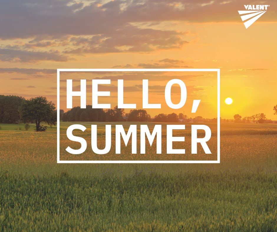 ValentUSA's tweet photo. Happy first day of summer! What is your favorite #summer activity?☀️ https://t.co/jgfiLjnDf2