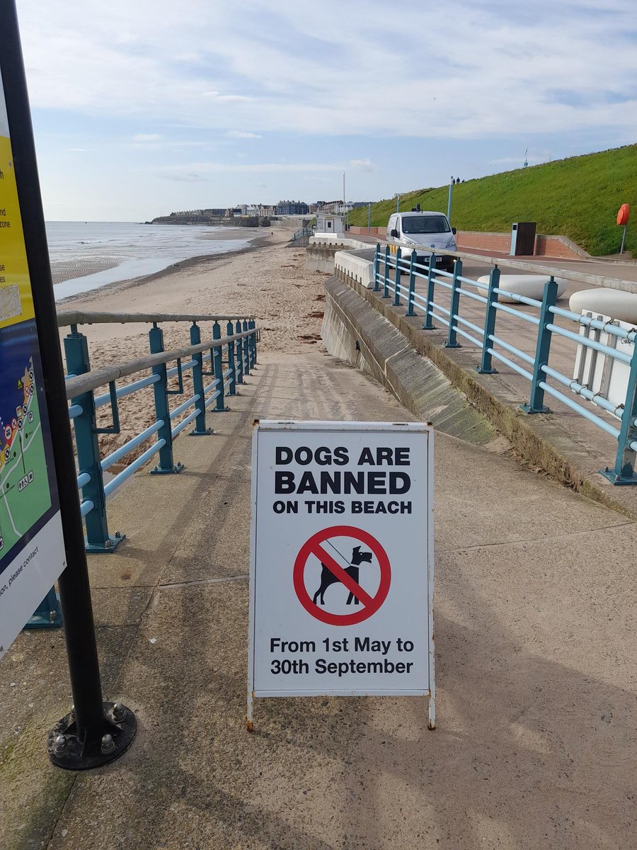 Community Protection North Tyneside Council tweet media