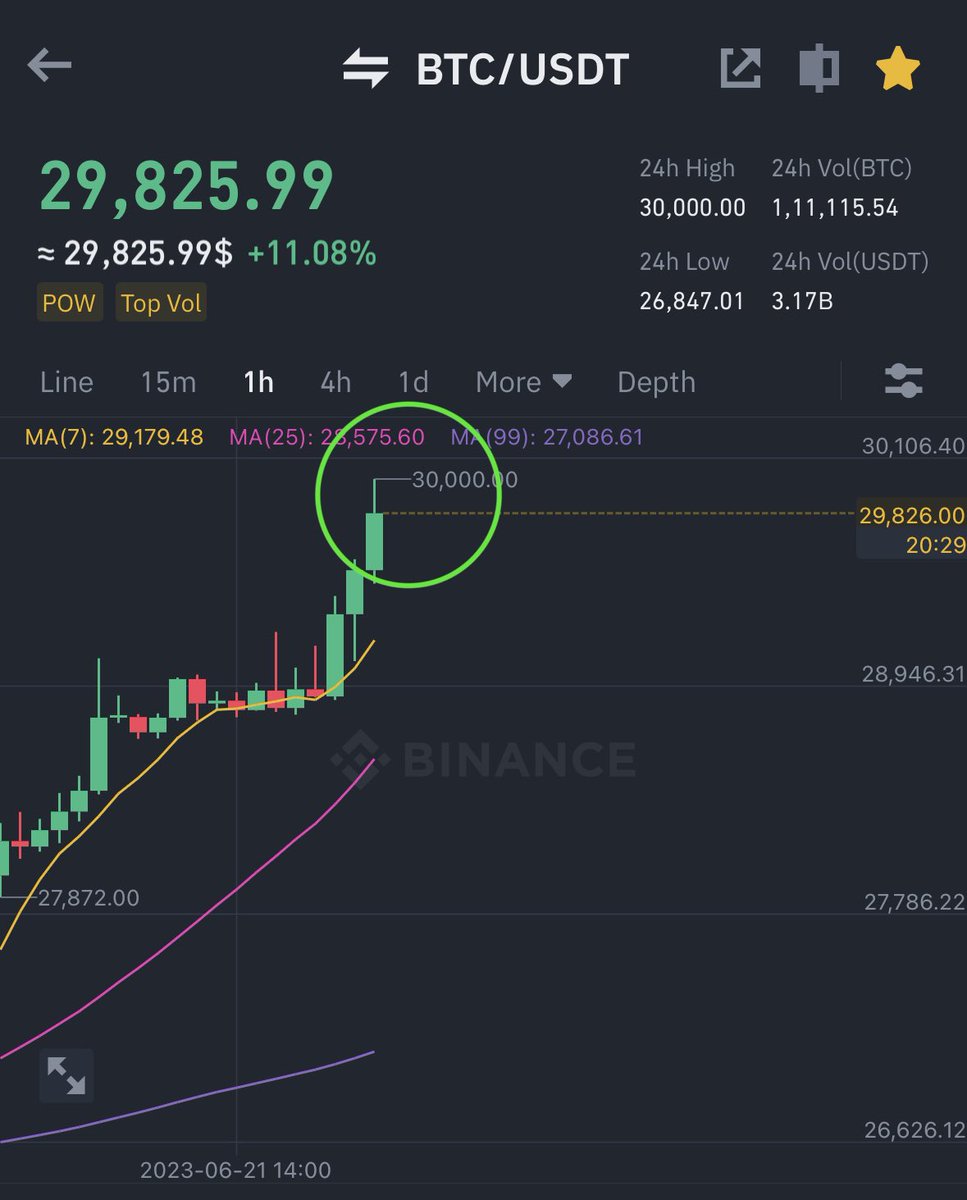 Next100XGEMS's tweet photo. 🚨JUST NOW: #Bitcoin smashes $30,000 https://t.co/1pHt3bG92G