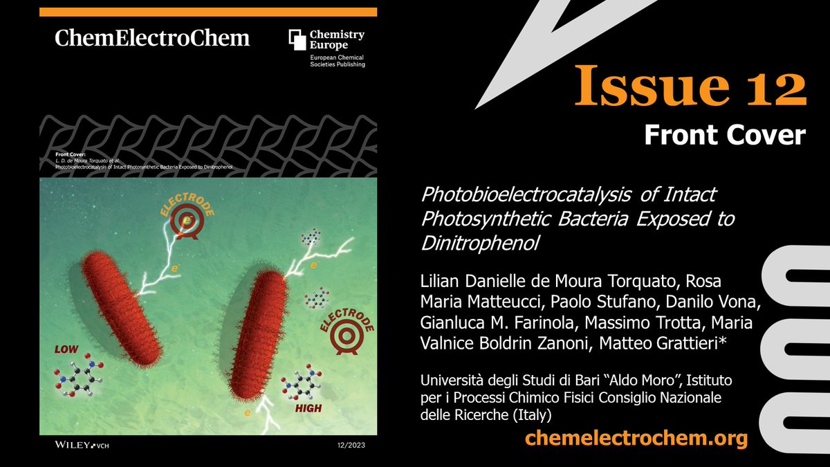 🥳ChemElectroChem's Issue 12 is now online! Check out this Front cover by Matteo Grattieri and coworkers! Read the complete issue 🔍bit.ly/ChemElectro122… #OpenAccess @Lilian_Torquato @MaxxTrotta @FarinolaGroup @GrattieriLab