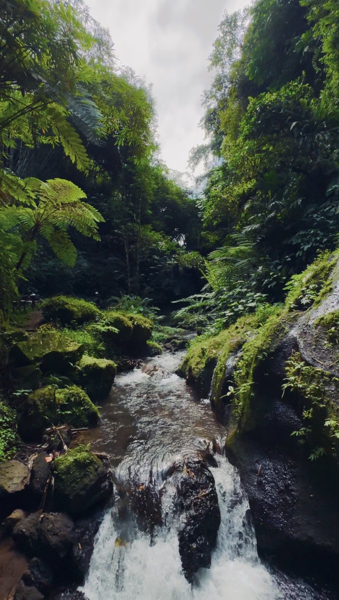 It is the place where you hear yourself better .