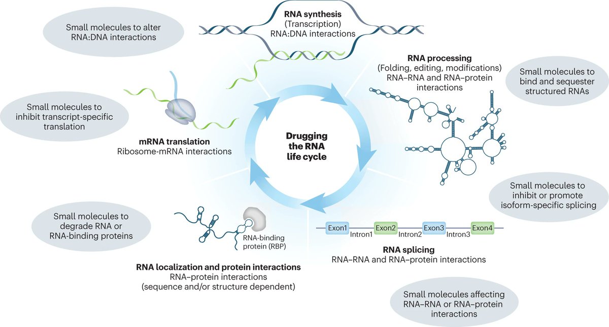Nature Biotechnology tweet media