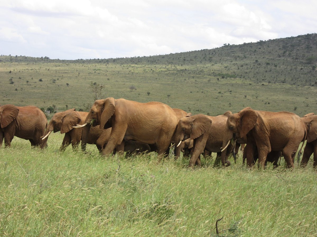 brianom01520984's tweet photo. Appreciating the beauty of #biodiversity protect by multi-partnership conservancies and ranches. #envasses #TTWCA https://t.co/i9bvT9zicO