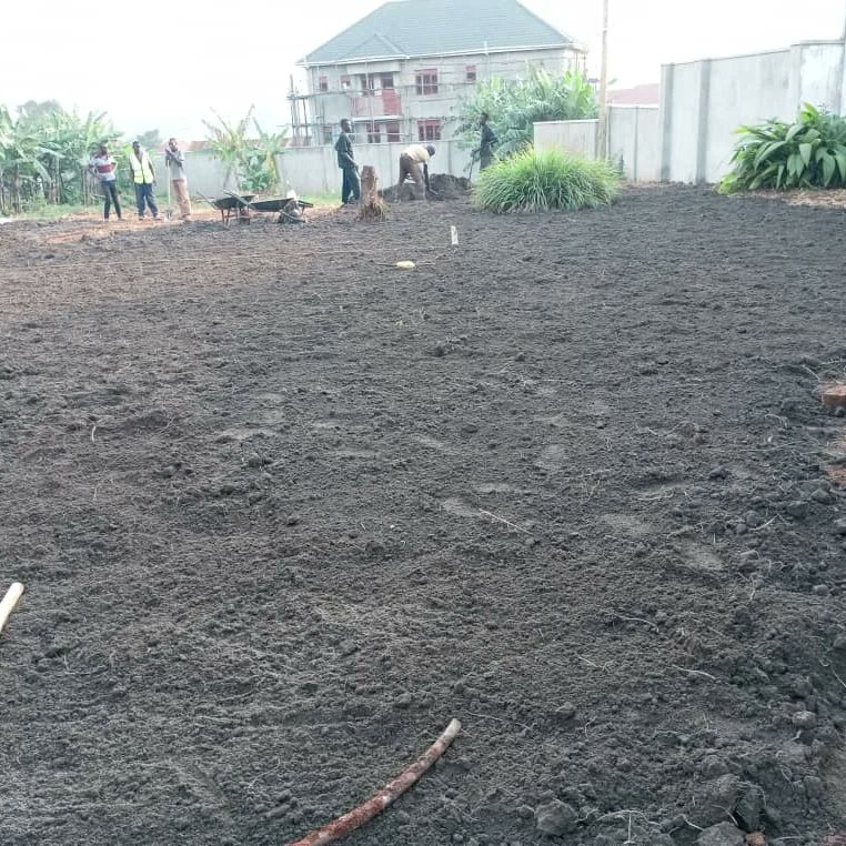 SITE READY FOR PLANTING GRASS after levelling the whole site, black soil was poured as well as being levelled. 

Inspire Freshness
0778623536
Uganda

#soil #nature #agriculture #organic #gardening #garden #plants #soilhealth #plant #cannabis #growyourown #soilscience #farming