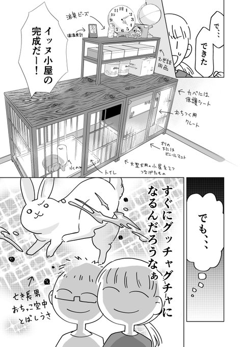 犬が来るまで残り4日!