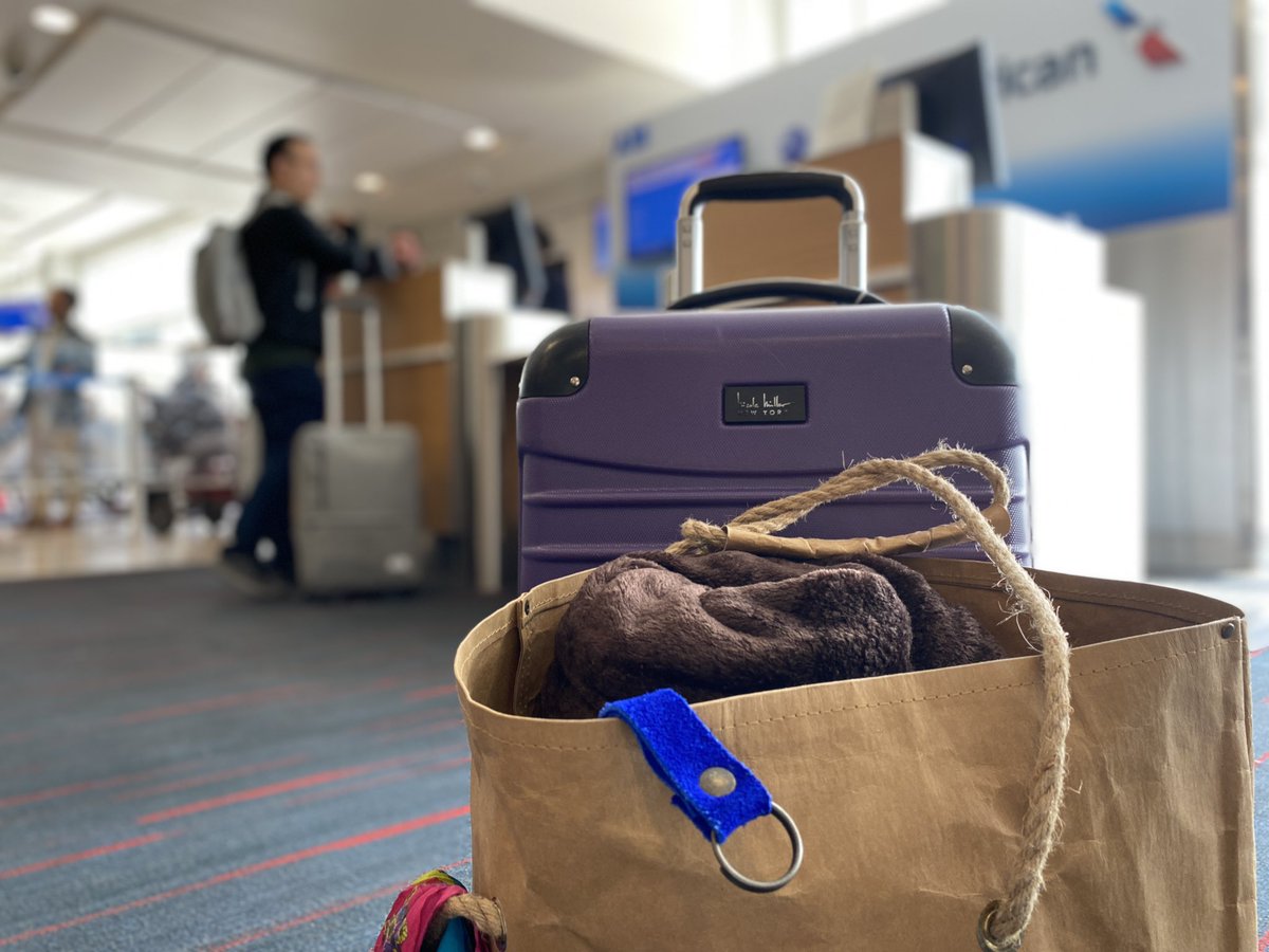 jdonith's tweet photo. In the air again… 🎶✈️🧳 
Flying standby is like it’s own adventure on top of traveling. After five hours waiting in two airports I’m home bound to Oregon! It’s been more than two years since I’ve been back. 🌲🏔️ #catchingflights #jetsetjournalist #dfw @AmericanAir https://t.co/FpArnTSBBr