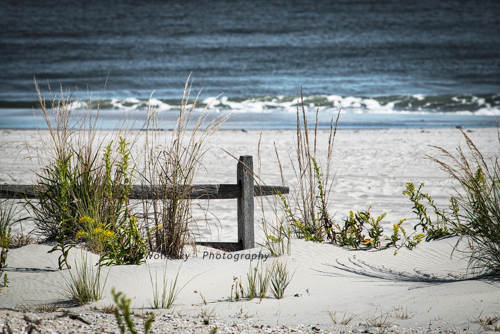 Ocean City-Fall Day in Ocean City NJ.  The shore is a beautiful place all year around. #newjersey,#finearts,#fineartsphotography,#explore,#explorepage,#beaches,#interiordesigns,#interdesigners,#decor

Question??  Feel free to DM me.