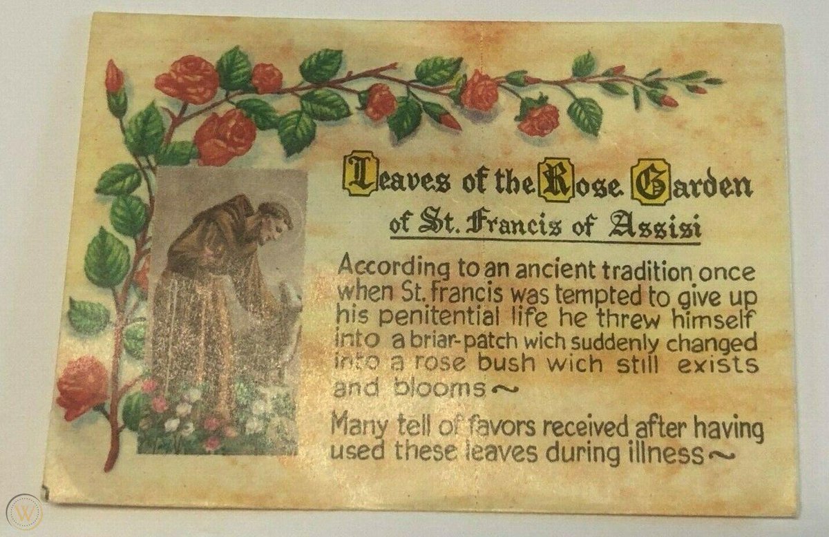 BabakTavanaee's tweet photo. The #miracle of the #rose
#معجزه_گل_سرخ https://t.co/D2OVwPis9Z