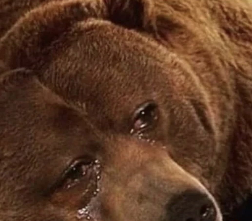 CignaxC38292's tweet photo. The #bears have gone to rest #BTC #crypto #Bullish https://t.co/d4va74fnCo
