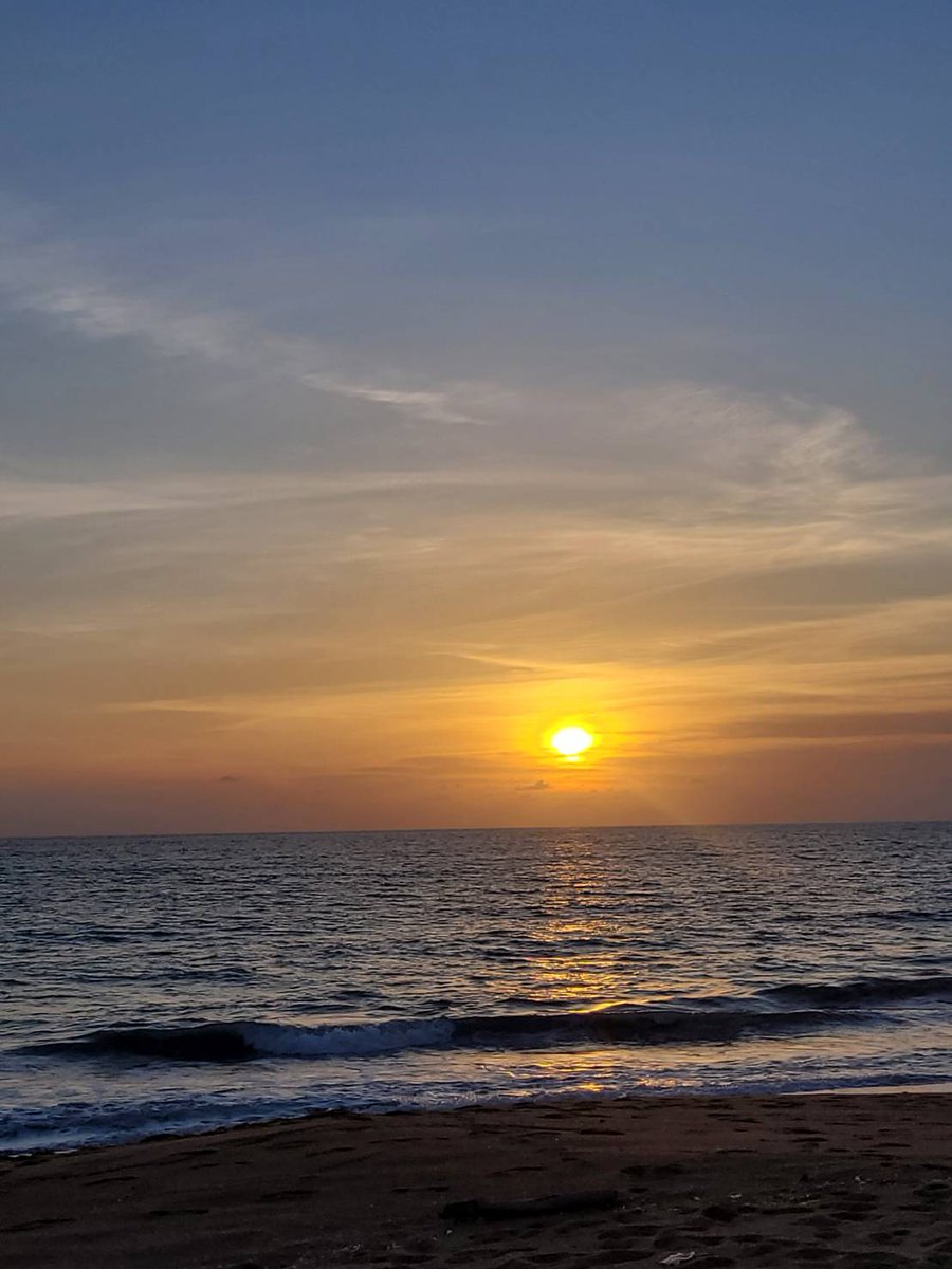todayis_palmx's tweet photo. ☀️☘️ https://t.co/Bb4kxYmF44